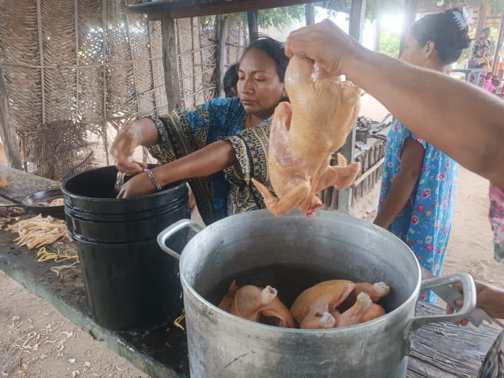 Empoderamiento femenino: Mujeres Wayuu en Zulia crían pollos para su sustento