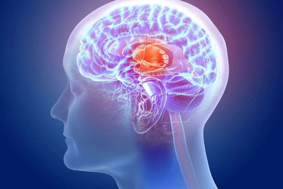 La Importancia de Leer y Escribir: Un Viaje Cognitivo Esencial