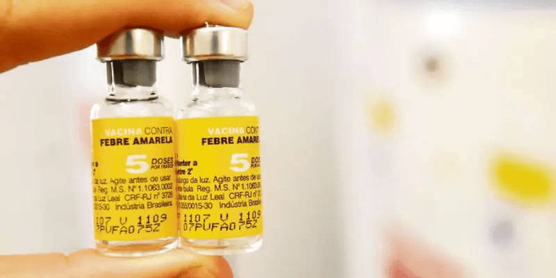 Brotes de fiebre amarilla en Venezuela: lo que necesitas saber