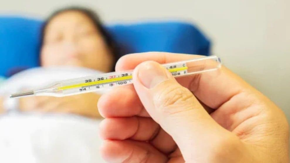 Barinas en Crisis: 21 Muertos por Fiebre Hemorrágica en 2023