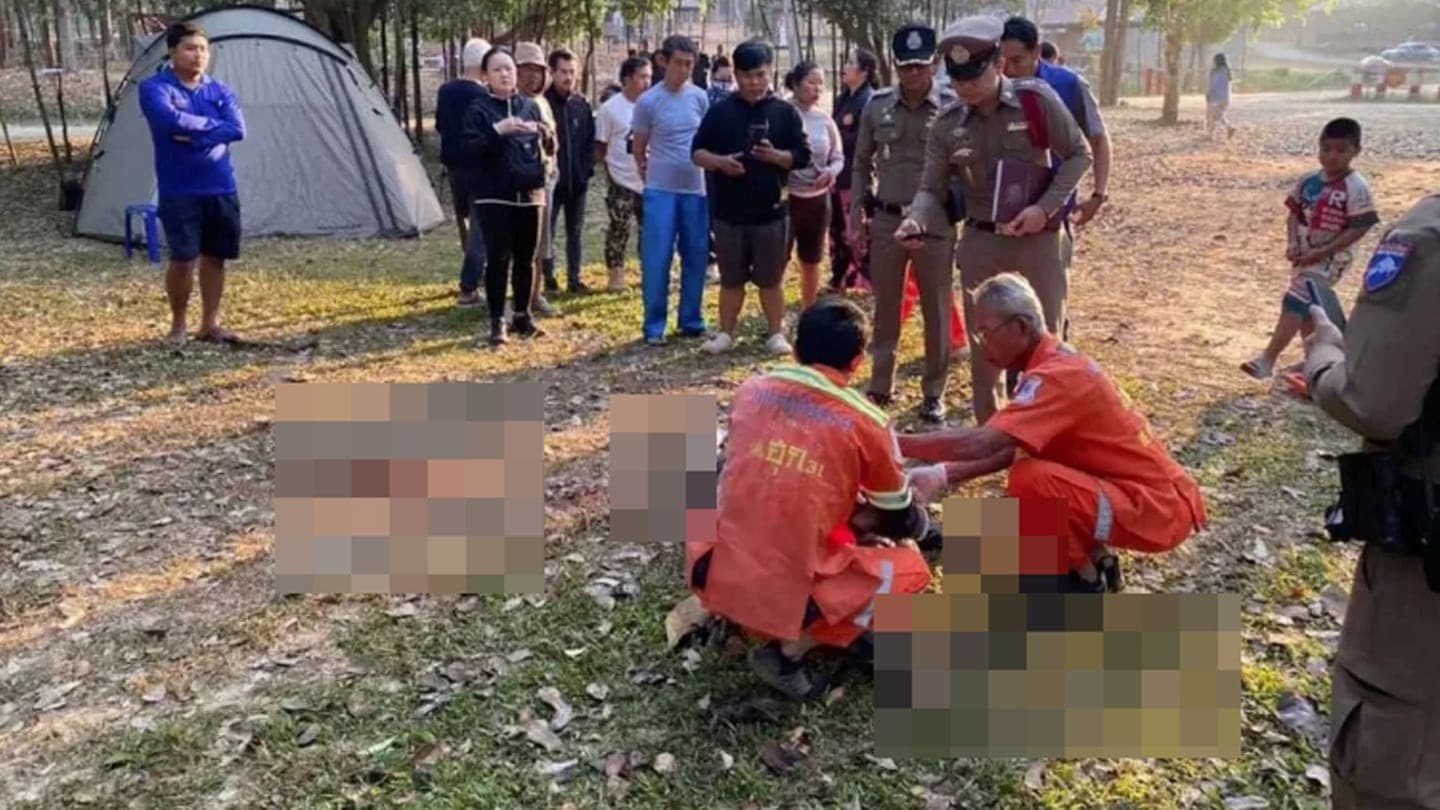 Un hombre muere aplastado por un elefante en un parque de Tailandia