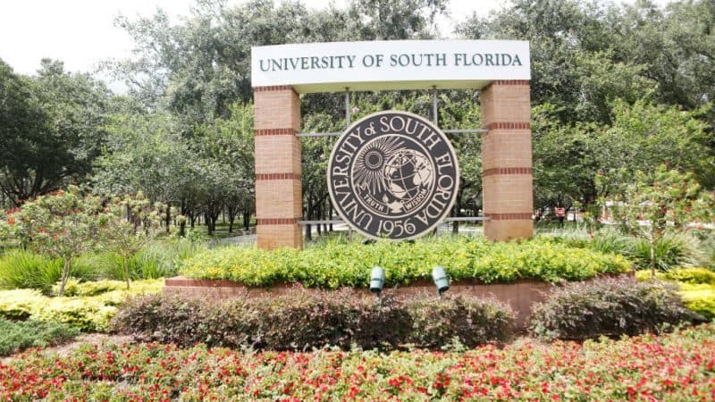Universidades de Florida interrumpen la contratación de extranjeros H-1B