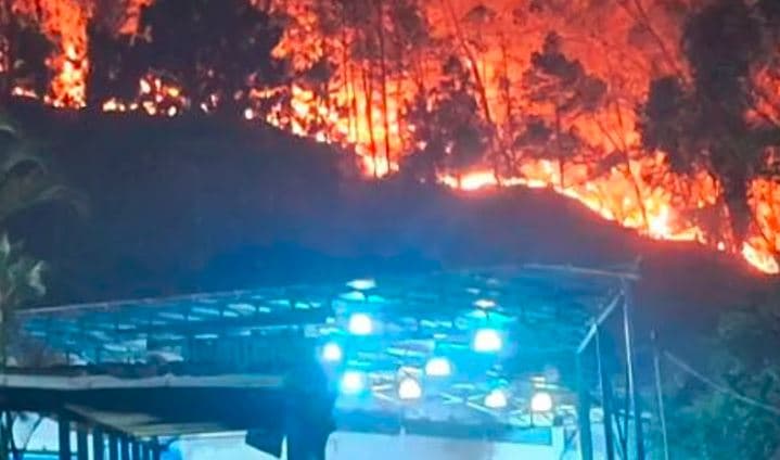 Incendio Forestal Devasta 260 Hectáreas en la Bajada de Tazón