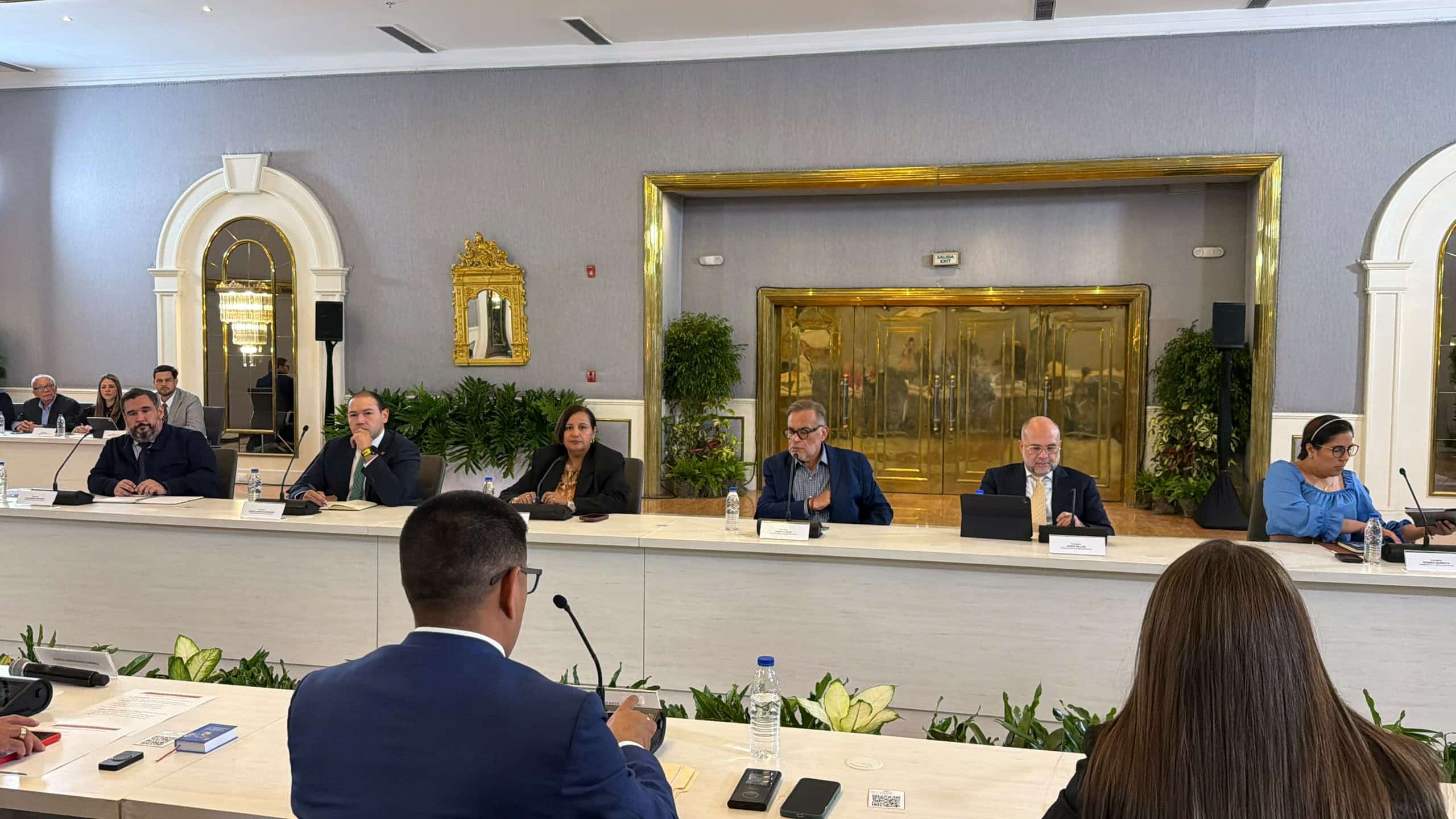 La democracia imaginada se construye con votos