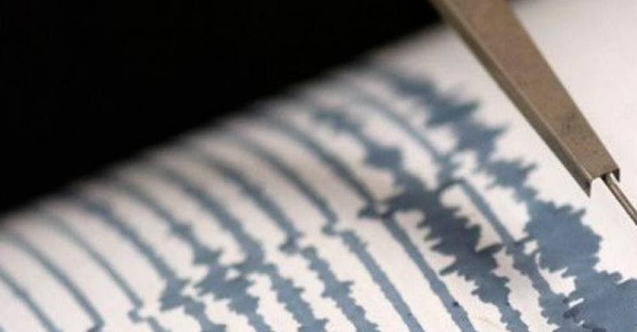 Funvisis reporta sismo de magnitud 3,4 al sureste de Irapa, estado Sucre