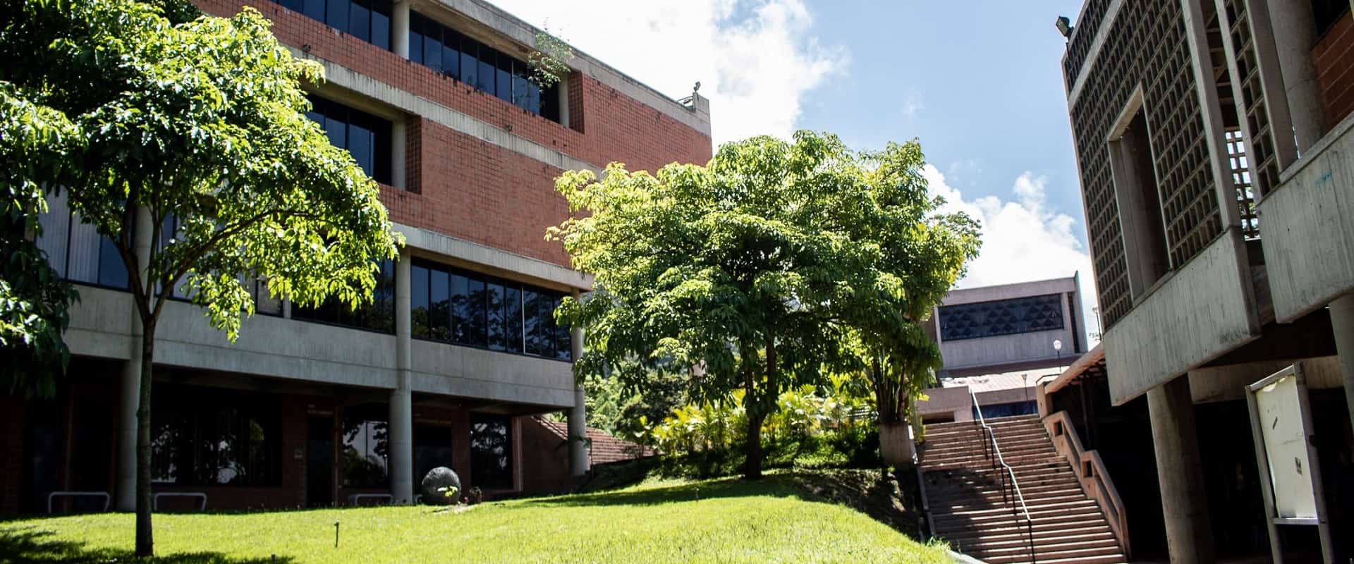 La Libertad Condicionada: El Caso de Joseph K. en Venezuela