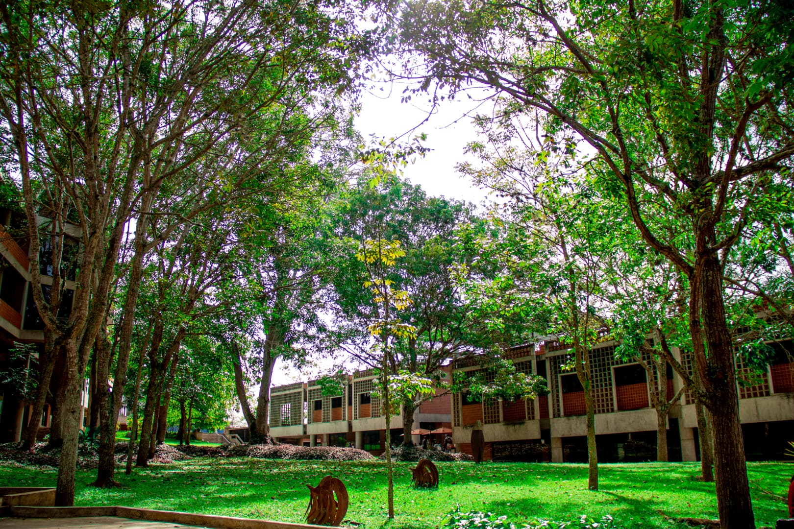 Unimet impulsa líderes para revitalizar el sector hidrocarburo en Venezuela