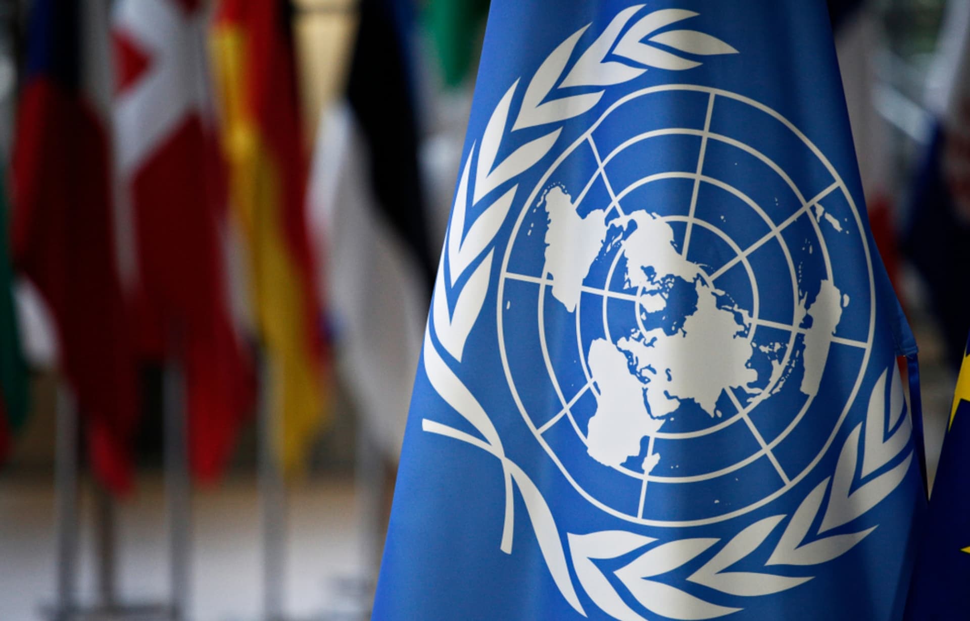 ONU: La Ley de Amnistía en Venezuela Debe Proteger a Todas las Víctimas