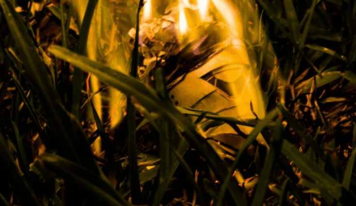 Delirios de restitución