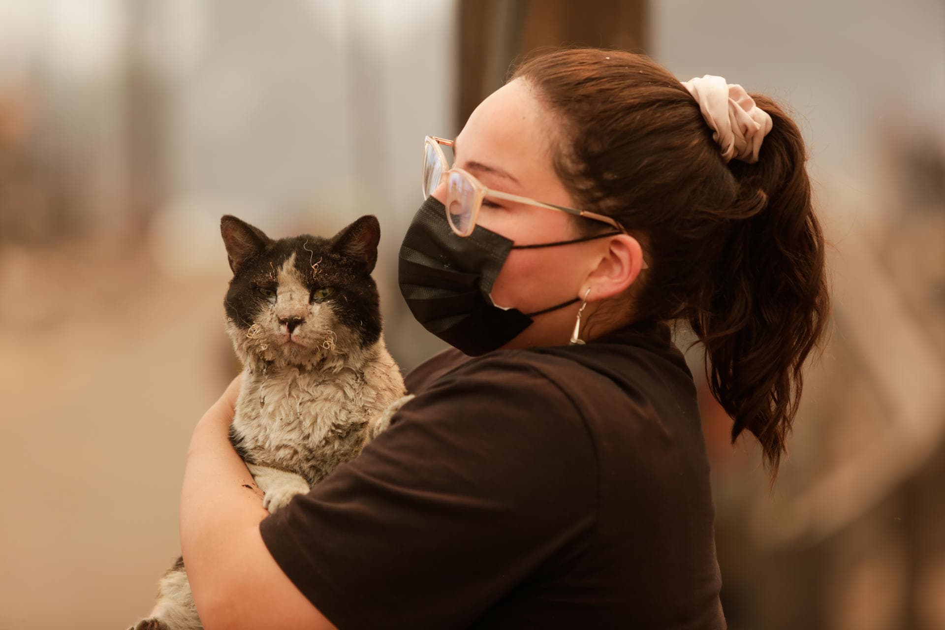 Chile en Emergencia: Estado de Catástrofe por Incendios Devastadores