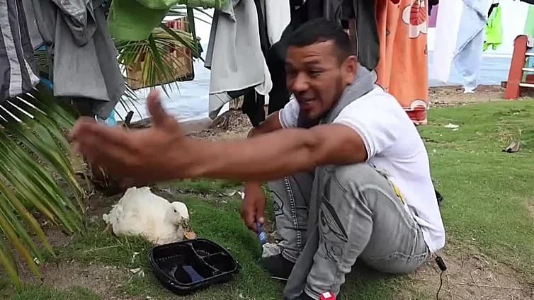 Filomena: La pata que acompaña a un migrante en su regreso a Venezuela