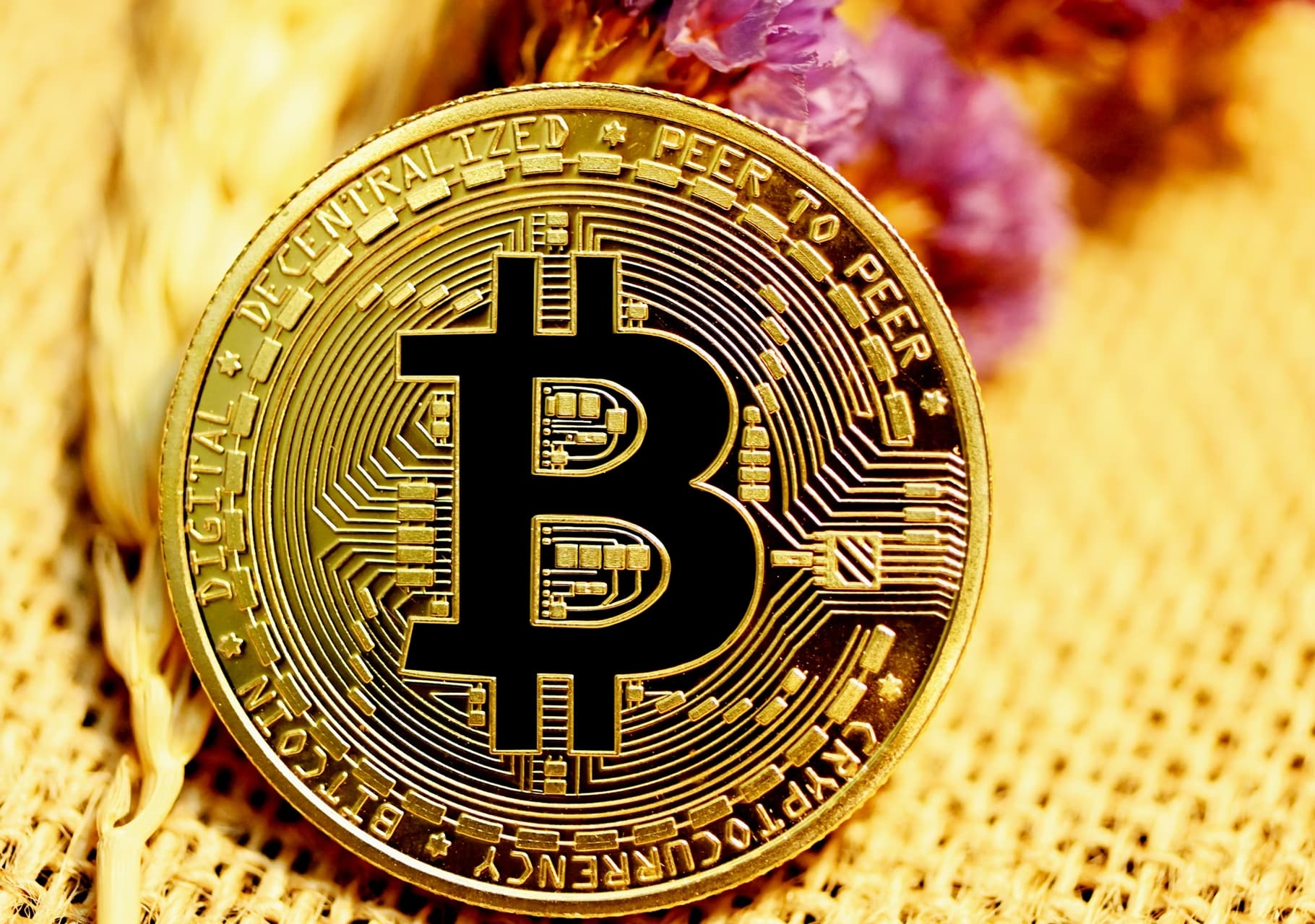 Bitcoin Alcanzó su Nivel Más Bajo Desde la Reelección de Trump