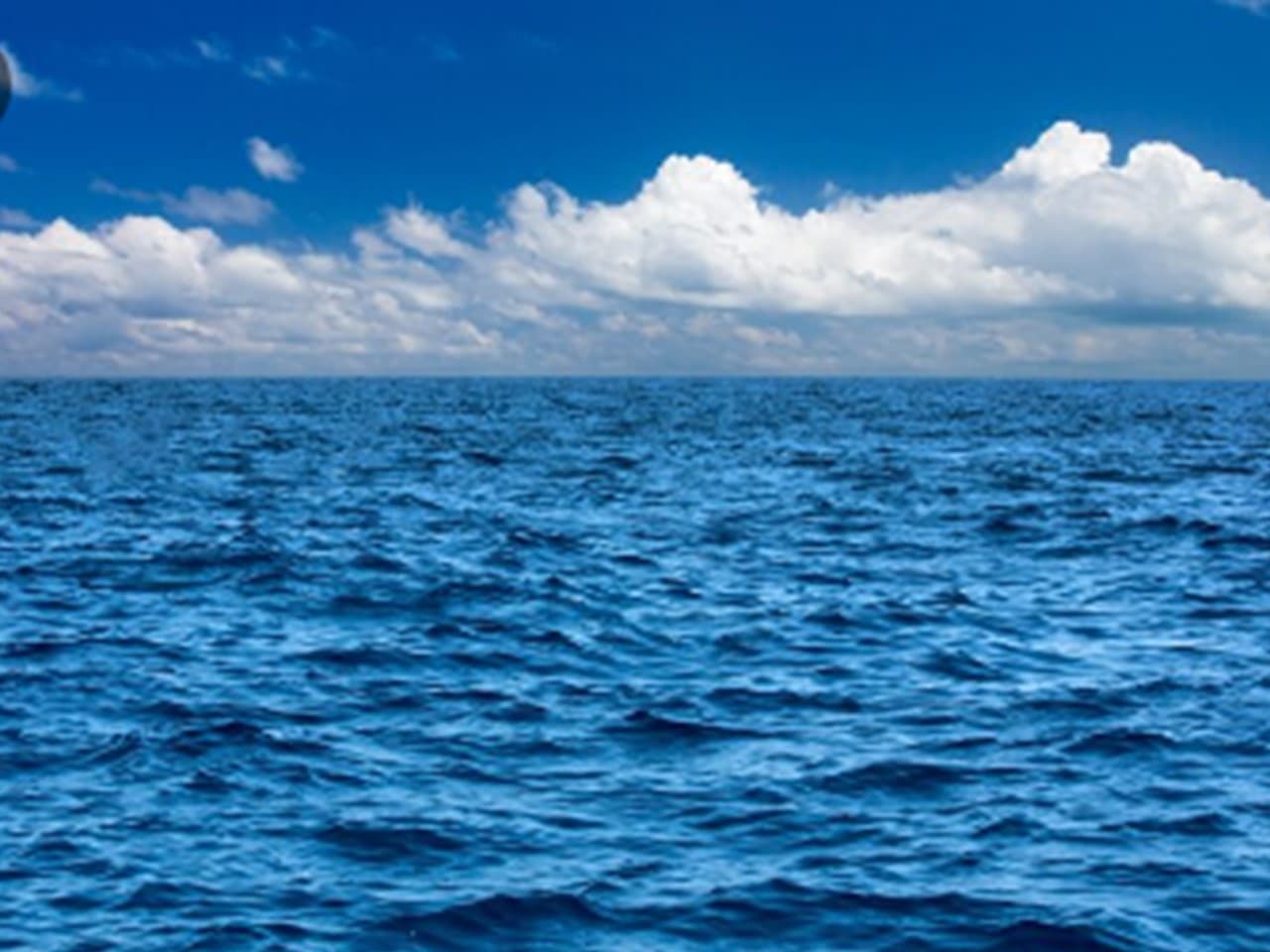 El tratado de la ONU: Un paso crucial hacia la protección de nuestros océanos