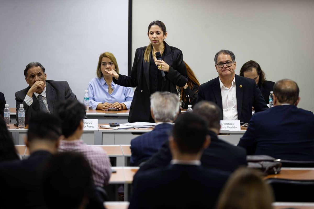 Nora Bracho Aboga por Inclusión de Acusados de Terrorismo en Ley de Amnistía