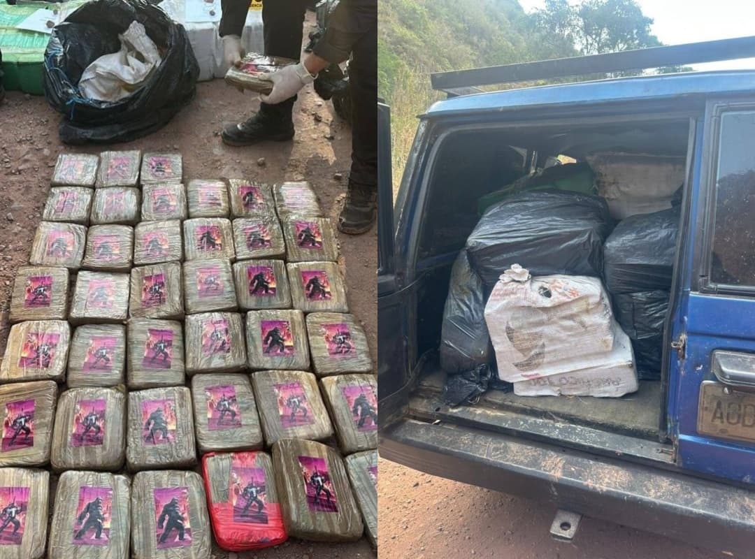 Cerca de 600 kilos de drogas incautados en Táchira y Zulia
