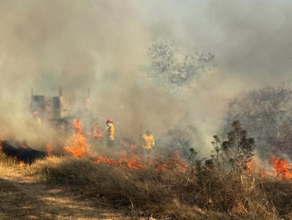 Ecuador enfrenta alarmantes incendios: Gobierno apunta a criminales