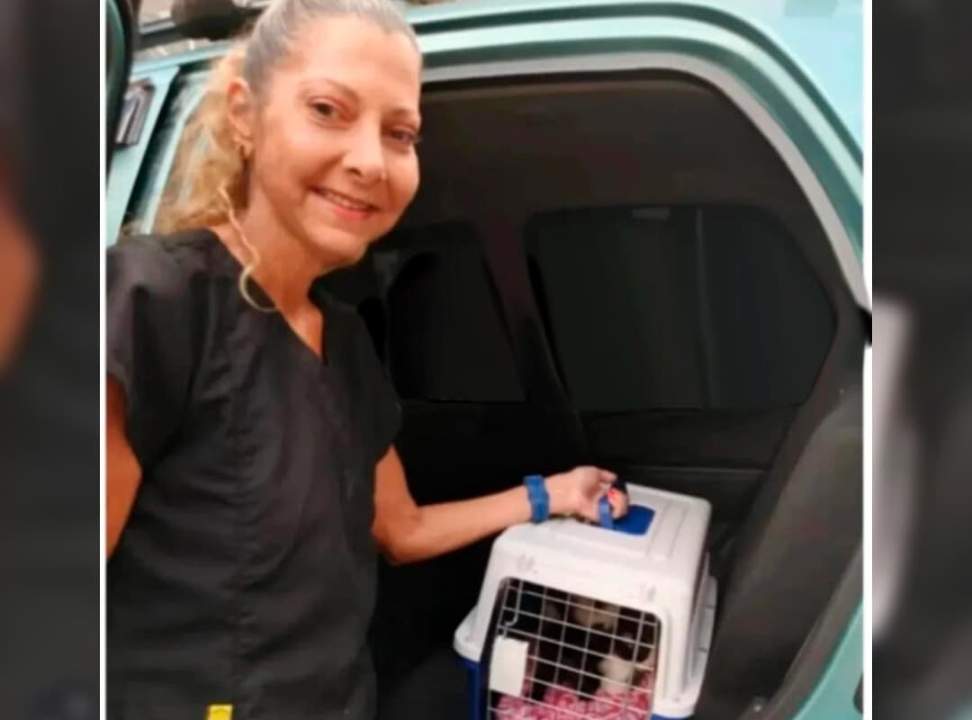 Imputan a mujer por adopción irresponsable de 40 gatos en Caracas
