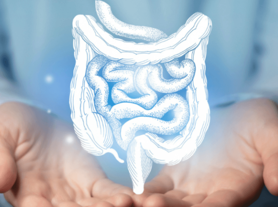 Impacto de la Microbiota en la Fertilidad Femenina: Un Factor Invisible