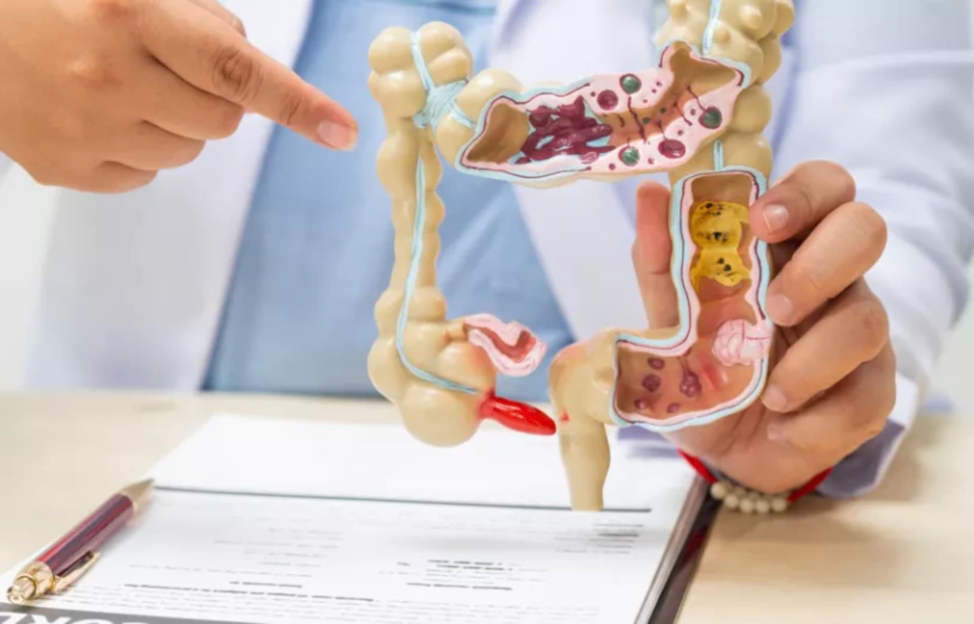 Identifican bacterias que podrían anticipar el Parkinson y estreñimiento