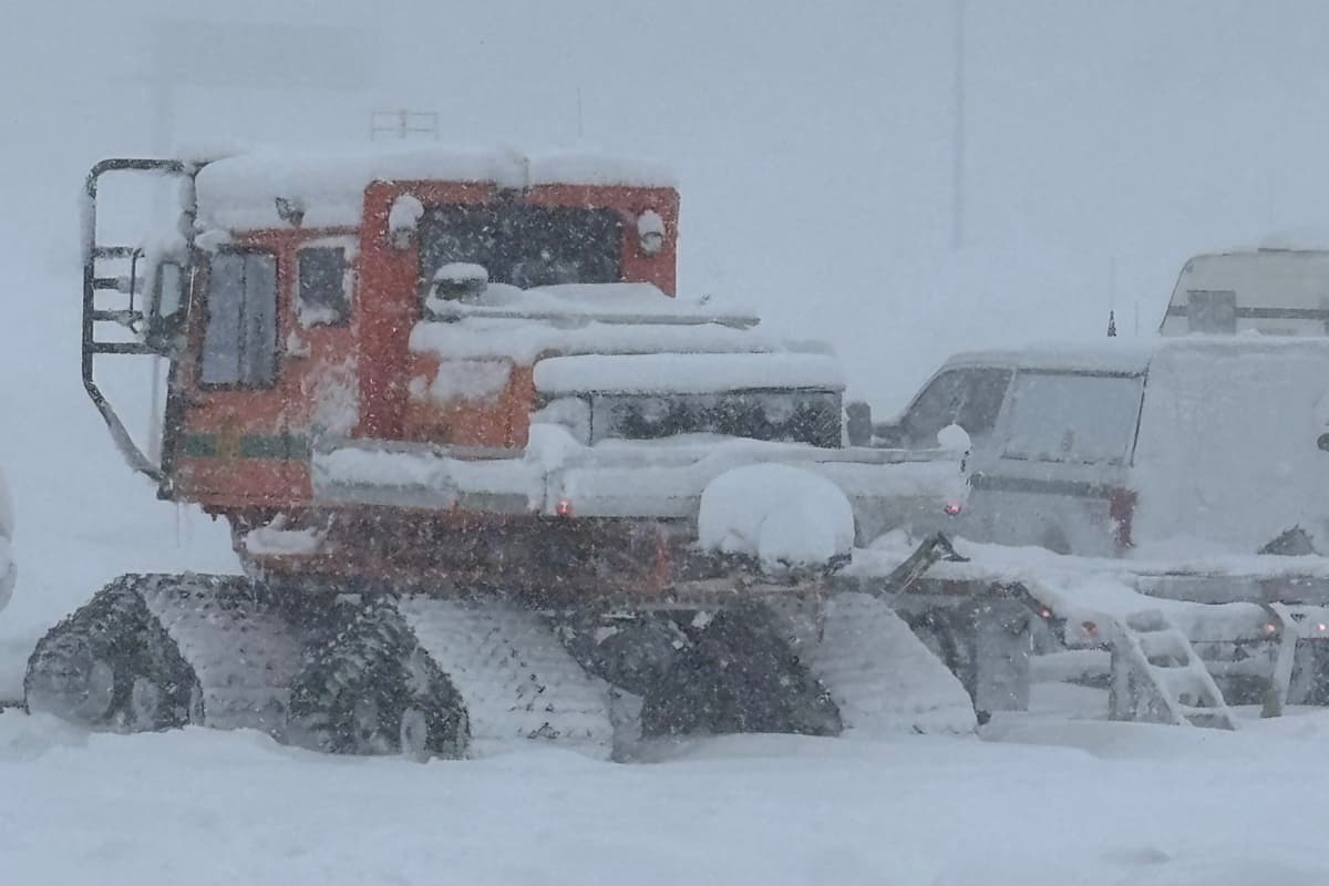 Tragedia en EE.UU.: Encuentran cuerpos de nueve esquiadores tras avalancha