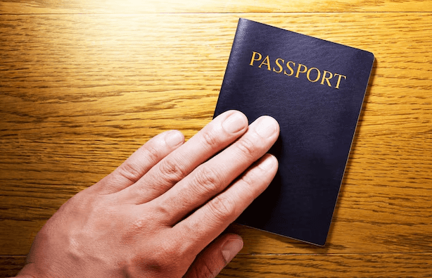 La Infinita Red de Antepasados: Un Viaje a Través de la Historia