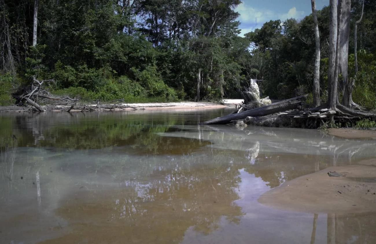Mercurio en Veneuela: Un Peligro Oculto para la Salud y el Medioambiente