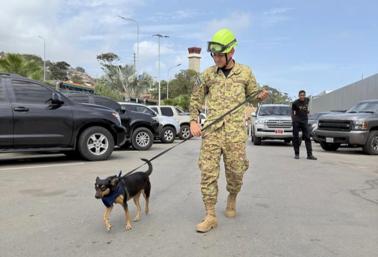 Fénix: La perrita venezolana que se unirá a rescatistas en El Salvador