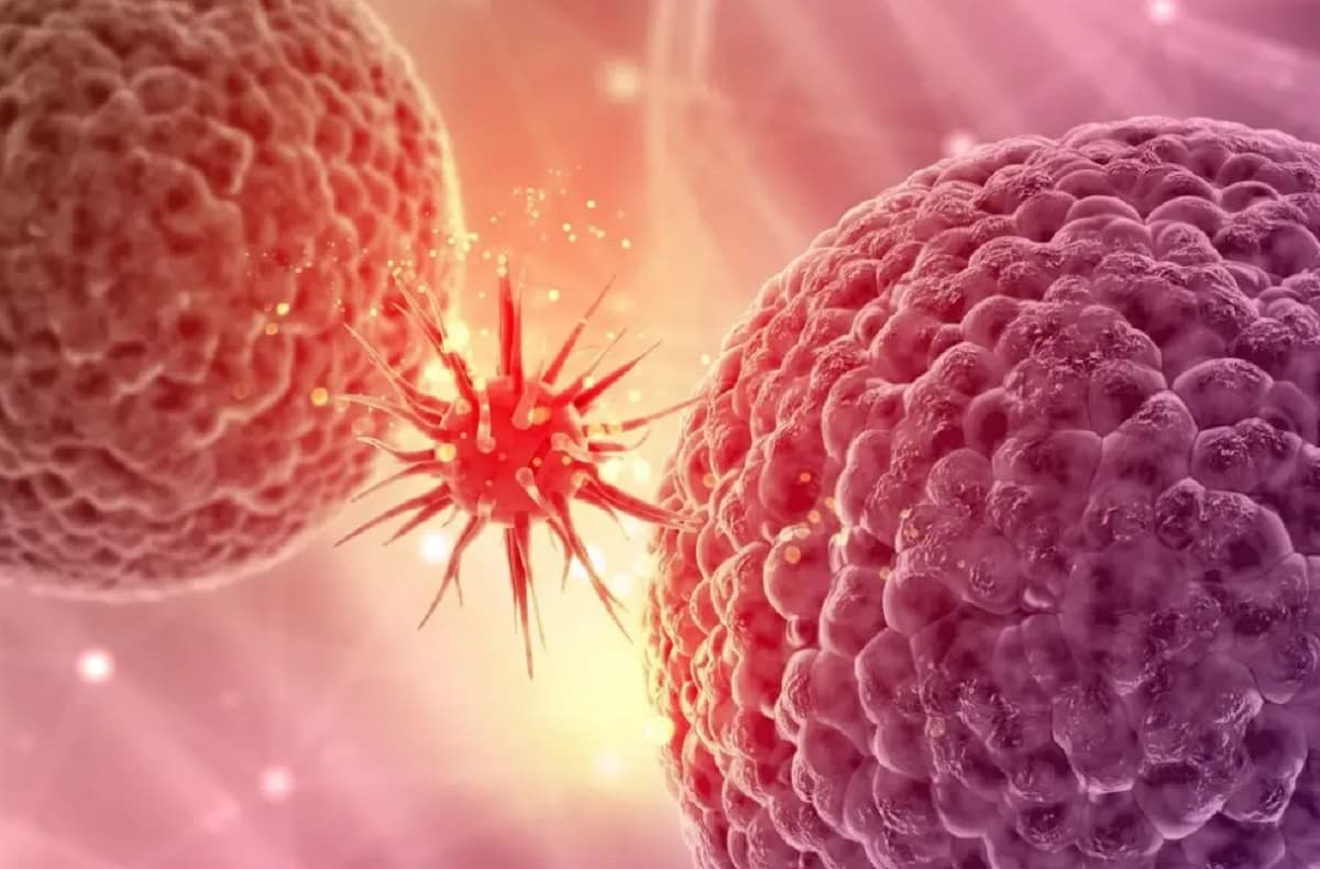 La OMS advierte: 92% de la población sufrirá cáncer en el futuro