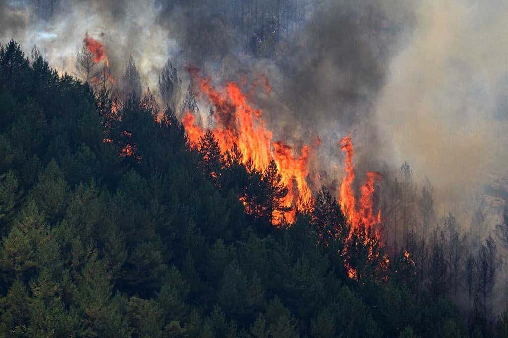 Tragedia en España: 11 muertos en devastador incendio en Los Gallardos