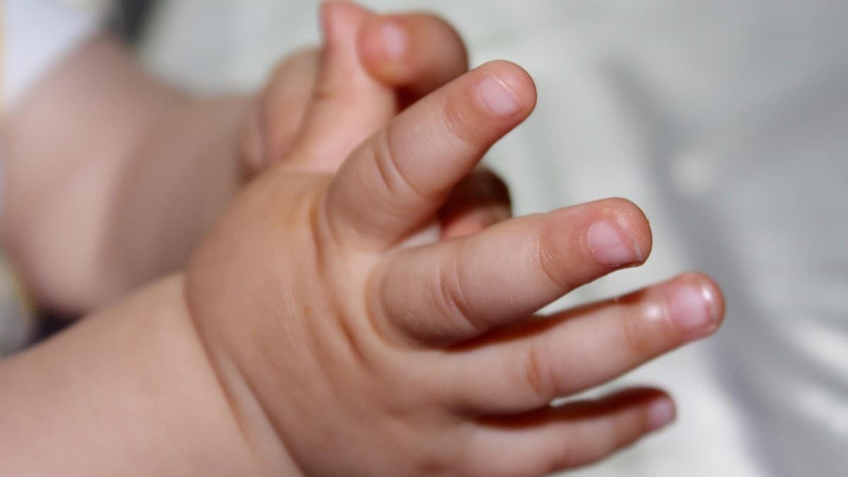 Migrantes venezolanos en España aplazan la maternidad por crisis económica