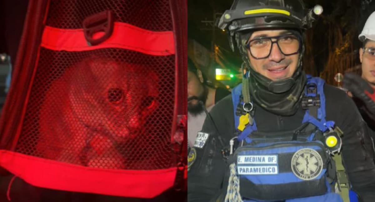 Valientes rescatistas venezolanos salvan a una gata en Cali