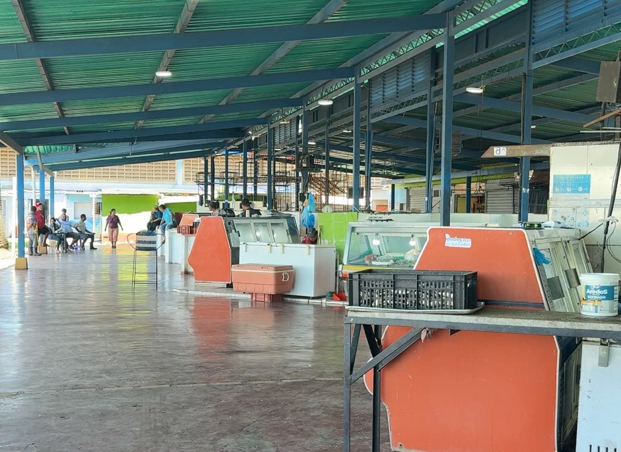 Fallas eléctricas y altos costos del hielo comprometen a vendedores de pescado en Puerto Ordaz