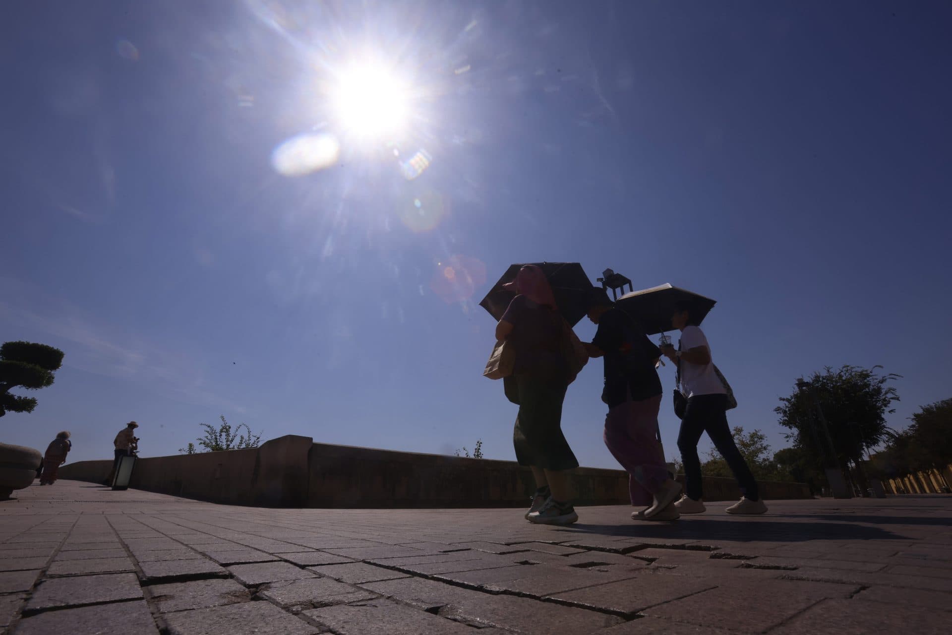 Venezuela tendrá un diciembre menos fresco y temperaturas altas hasta 2027 por el fenómeno de El Niño