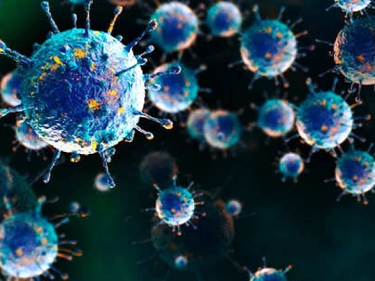 Una persona falleció por el virus shamonda en Francia