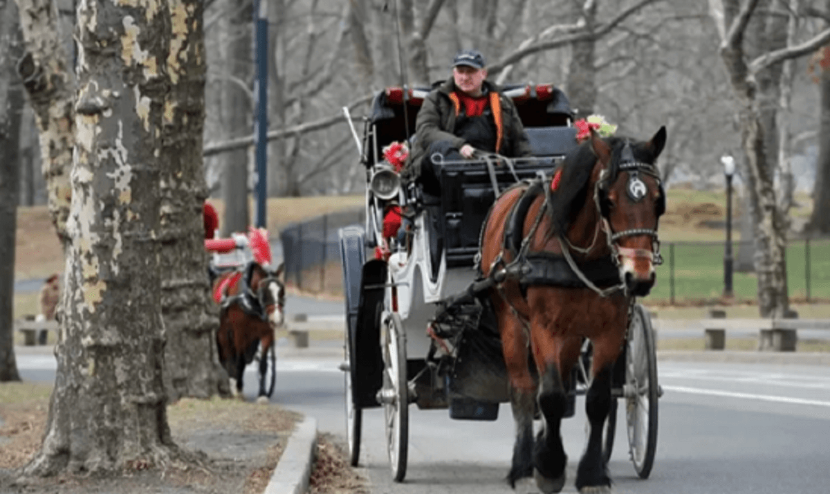 Nueva York aprueba la ley que prohibirá los carruajes tirados por caballos en junio de 2028