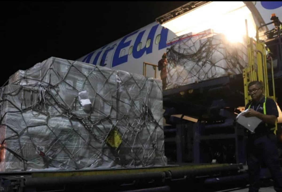 Grecia envió a Venezuela más de 11 toneladas de medicamentos para afectados por los terremotos