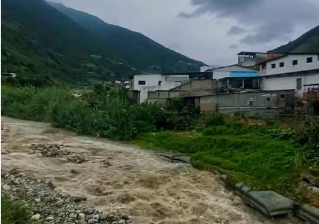 Temor en el Páramo Merideño: Lluvias Amenazan Cosechas y Seguridad