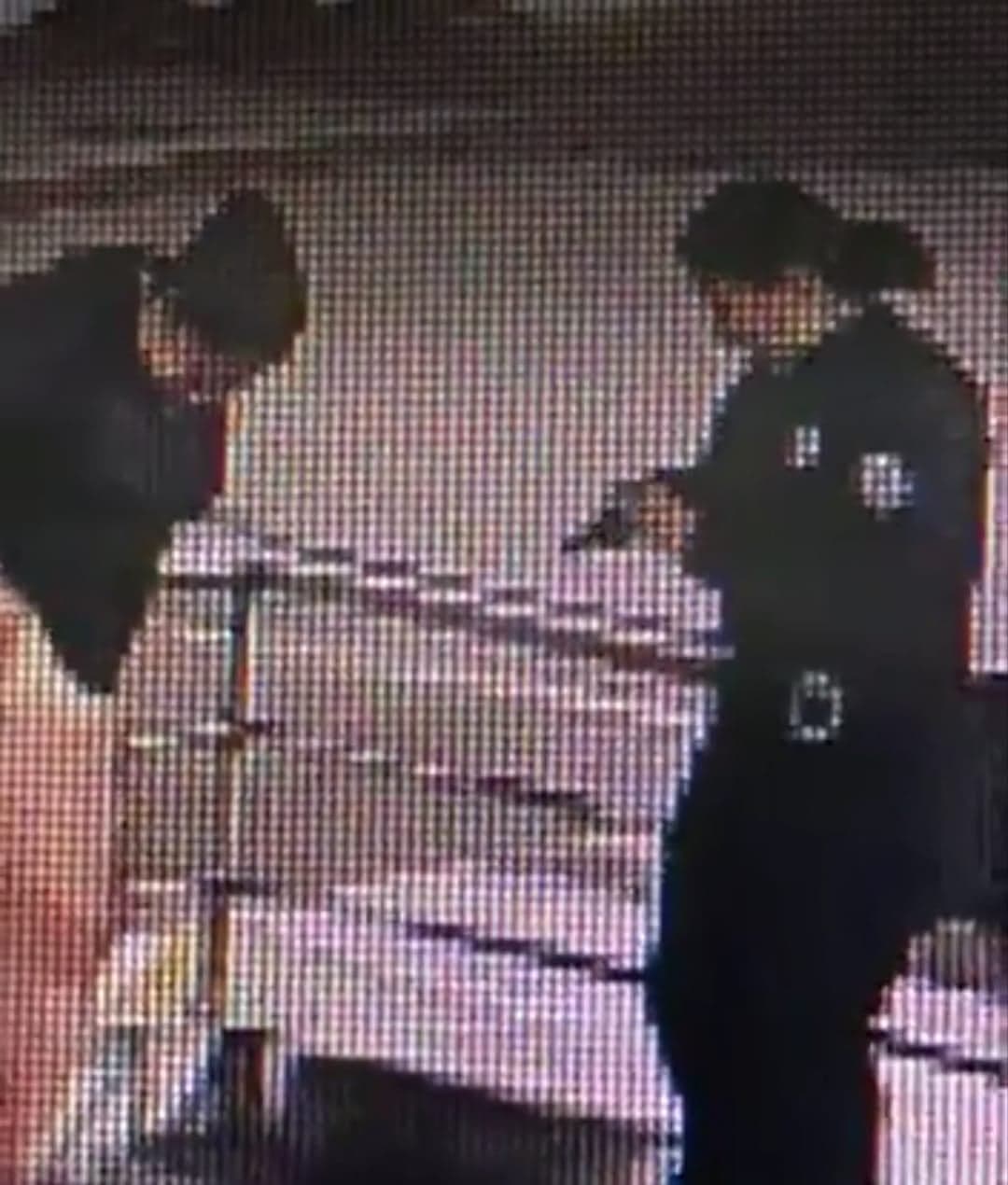 PNB Dispara y Hiere a Mujer en Estación del Metro de Caracas