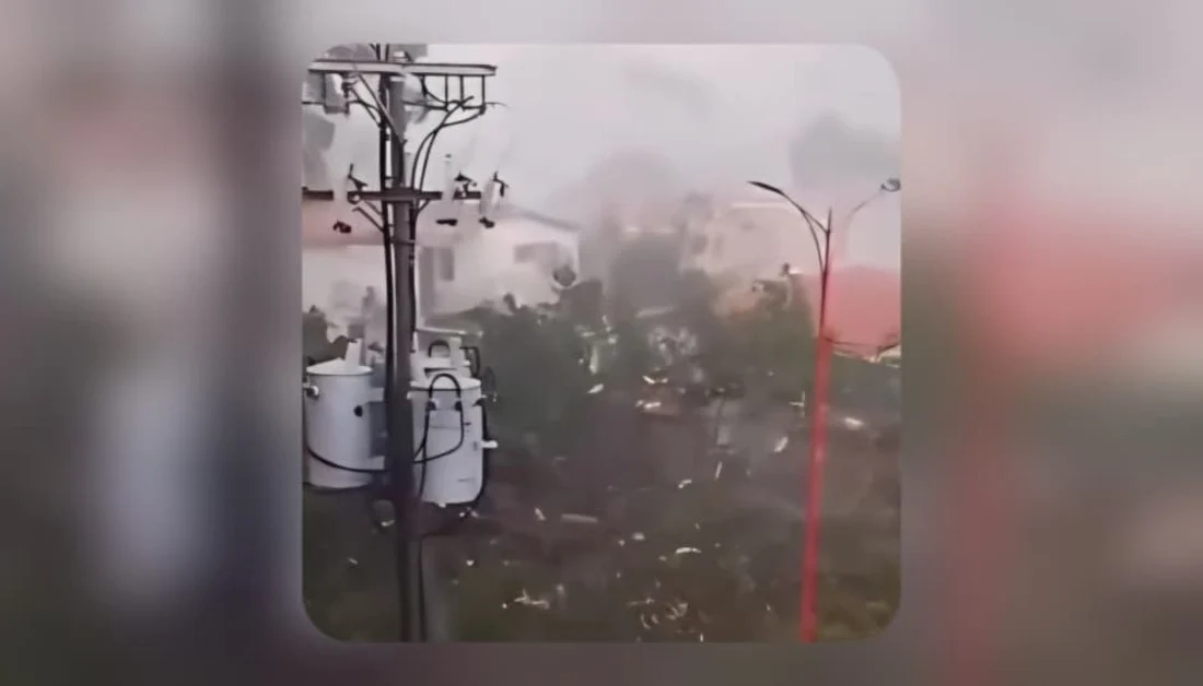 Fuerte tormenta en Carabobo: mujer embarazada herida por caída de árbol