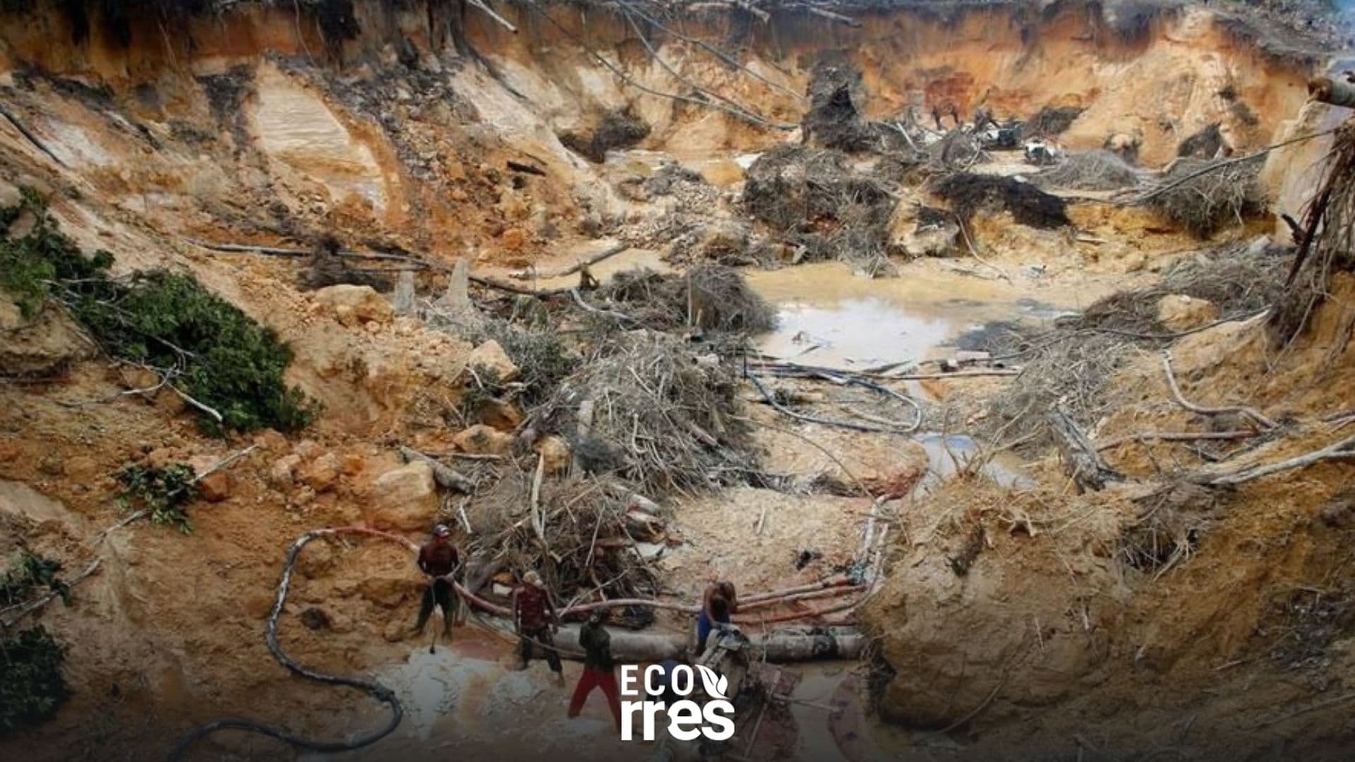 SOSOrinoco: “Reemplazo de Maduro por Rodríguez es una mala noticia para el medio ambiente”