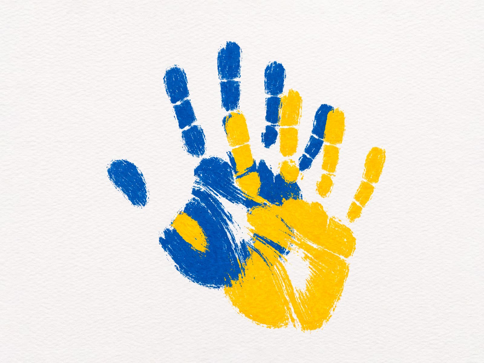 El lenguaje que hiere: El verdadero problema de la inclusión en 2026