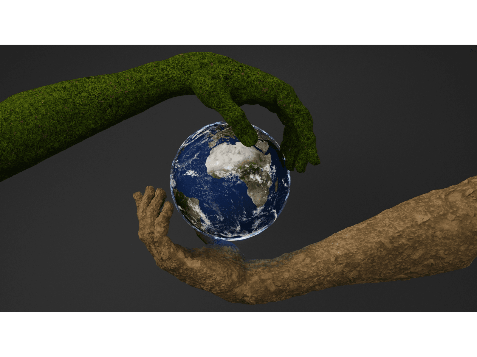 Día Mundial del Ambiente: Urge la protección de derechos ambientales en Venezuela