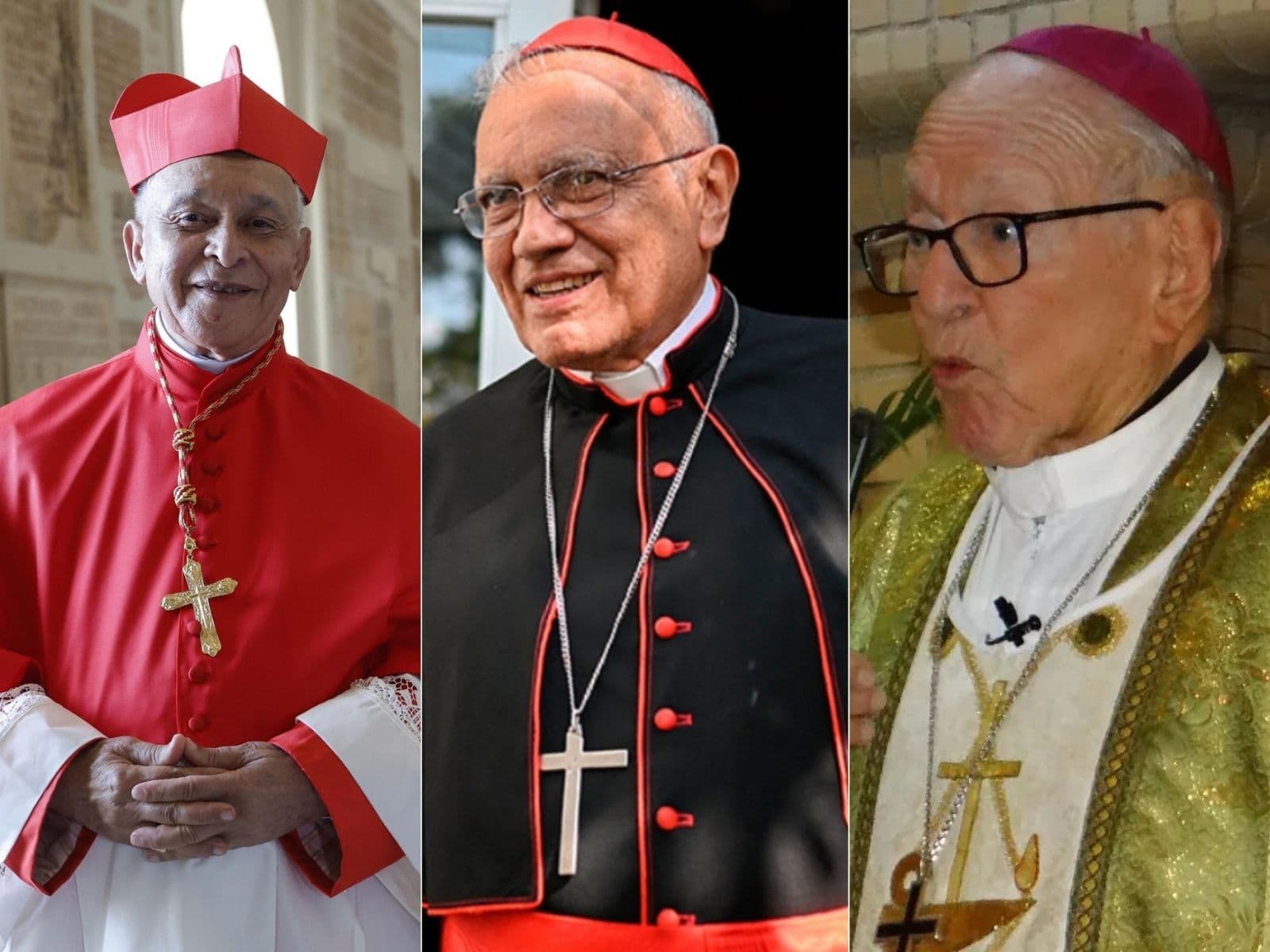 Cardenales: Un Diálogo Político Necesita Enfoque en el Bien Común