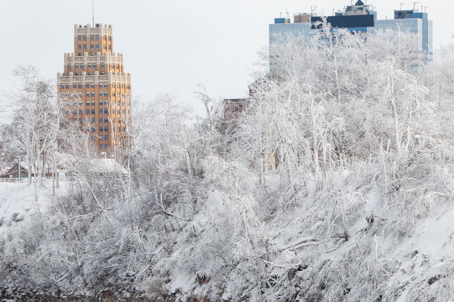 EEUU en emergencia por tormenta invernal: Más de 20 estados afectados
