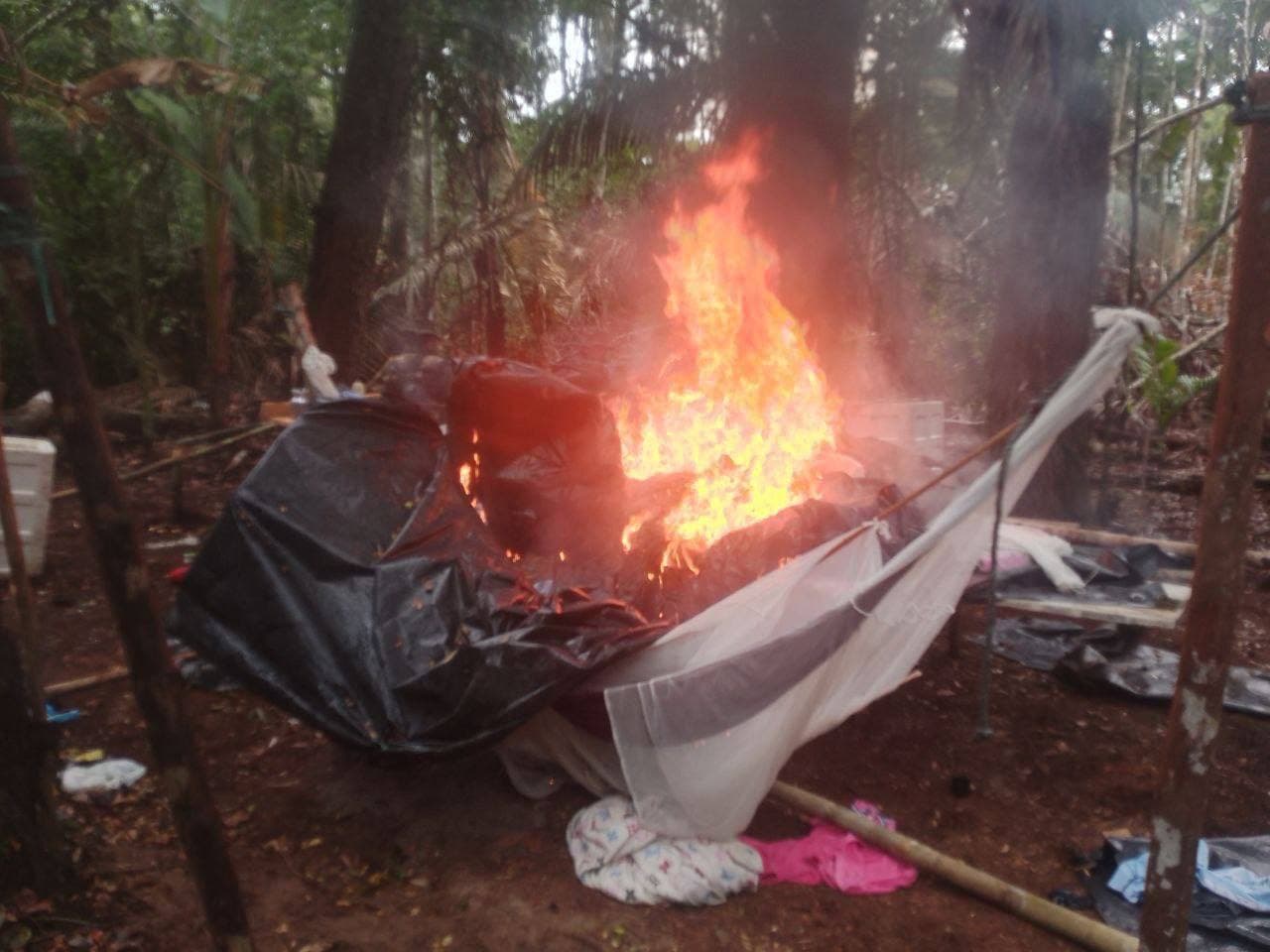 Desmantelan campamentos de minería ilegal en Amazonas: 2 detenidos