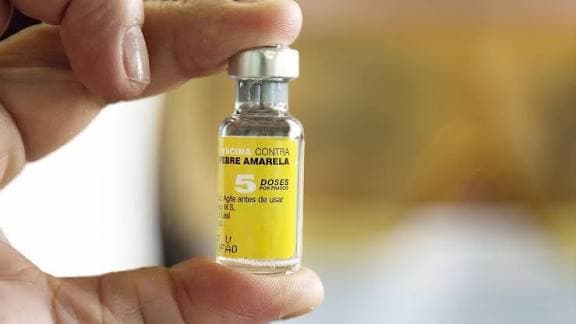 Alerta en Venezuela: Fiebre amarilla amenaza en cuatro estados
