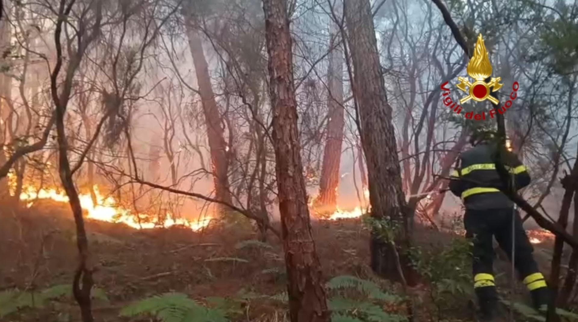 Evacuación de 3,500 personas por incendio cerca de Toscana: una tragedia
