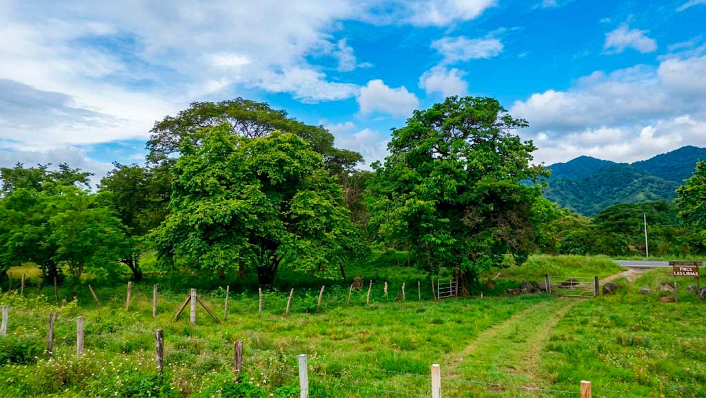 Agricultura familiar en riesgo: falta de crédito y contrabando en Venezuela