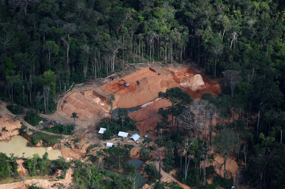 Greenpeace denuncia sistema de fraude para lavar oro en Brasil