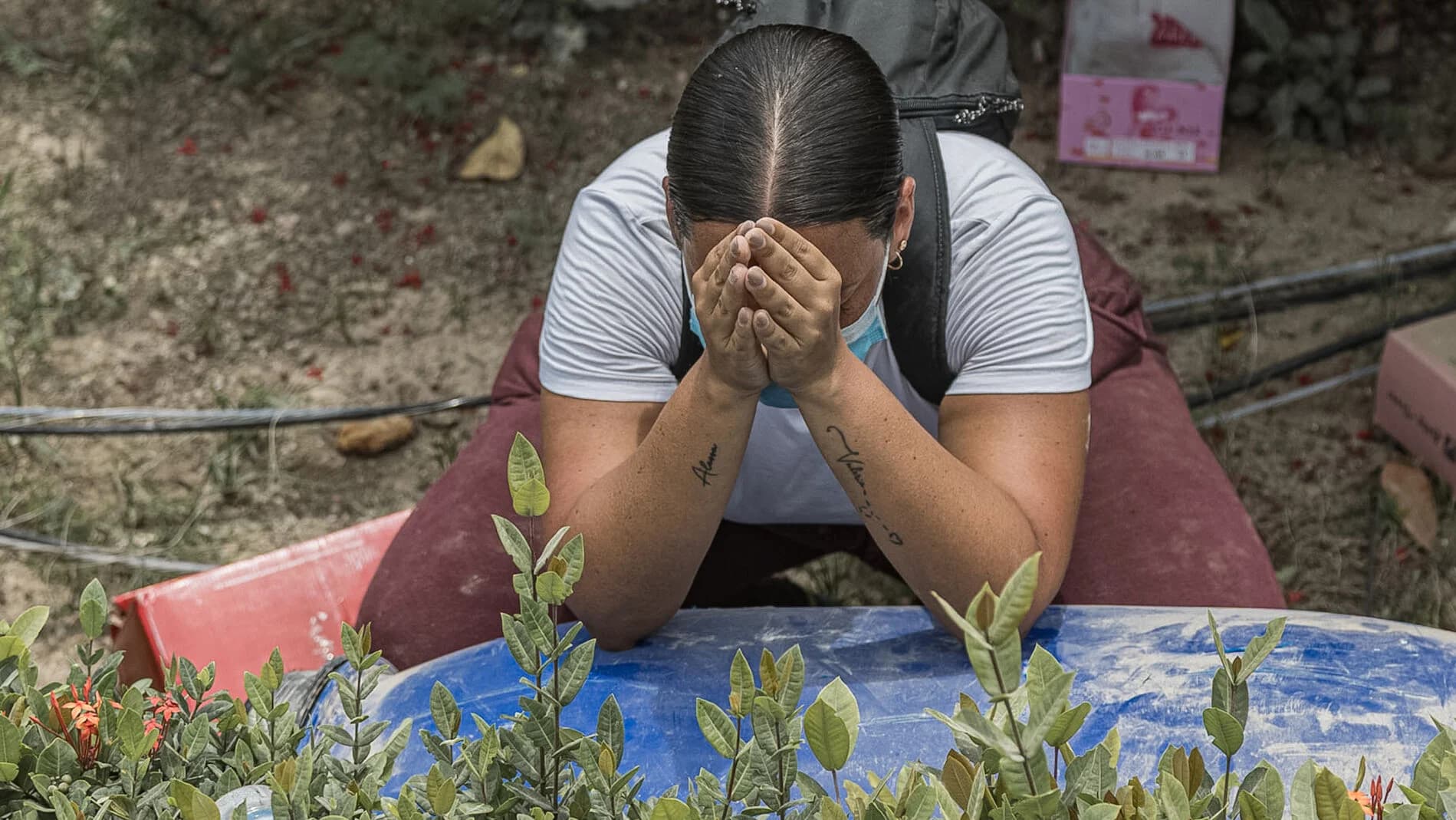 Respuesta de Supervivencia ante Terremotos: Una Perspectiva Psicológica